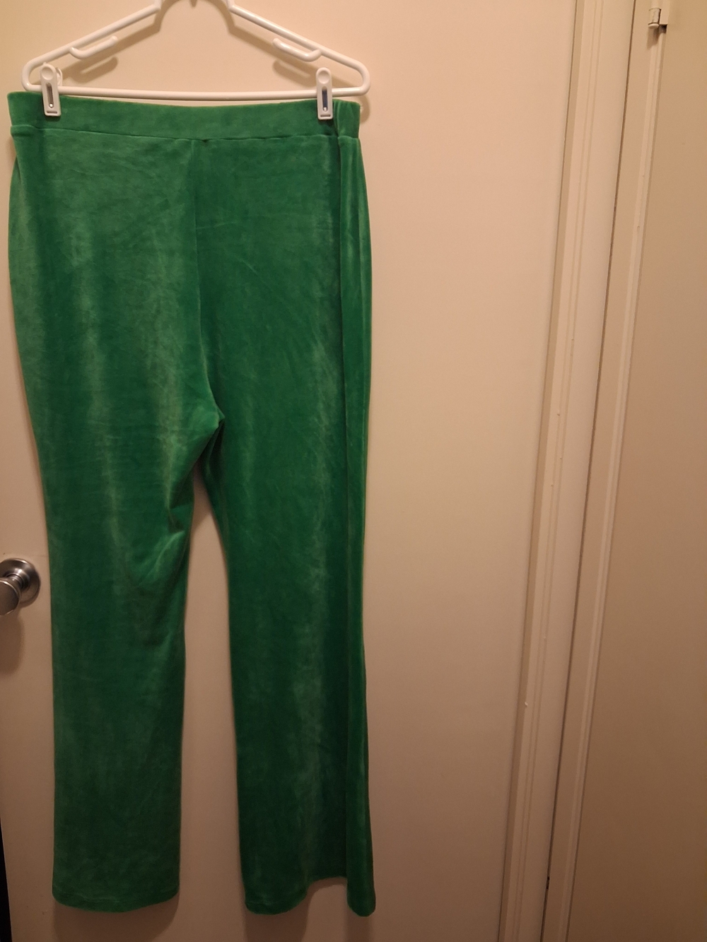 Fashion Nova Green Velour Jogger Pants